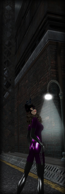Catwoman on Gotham Street